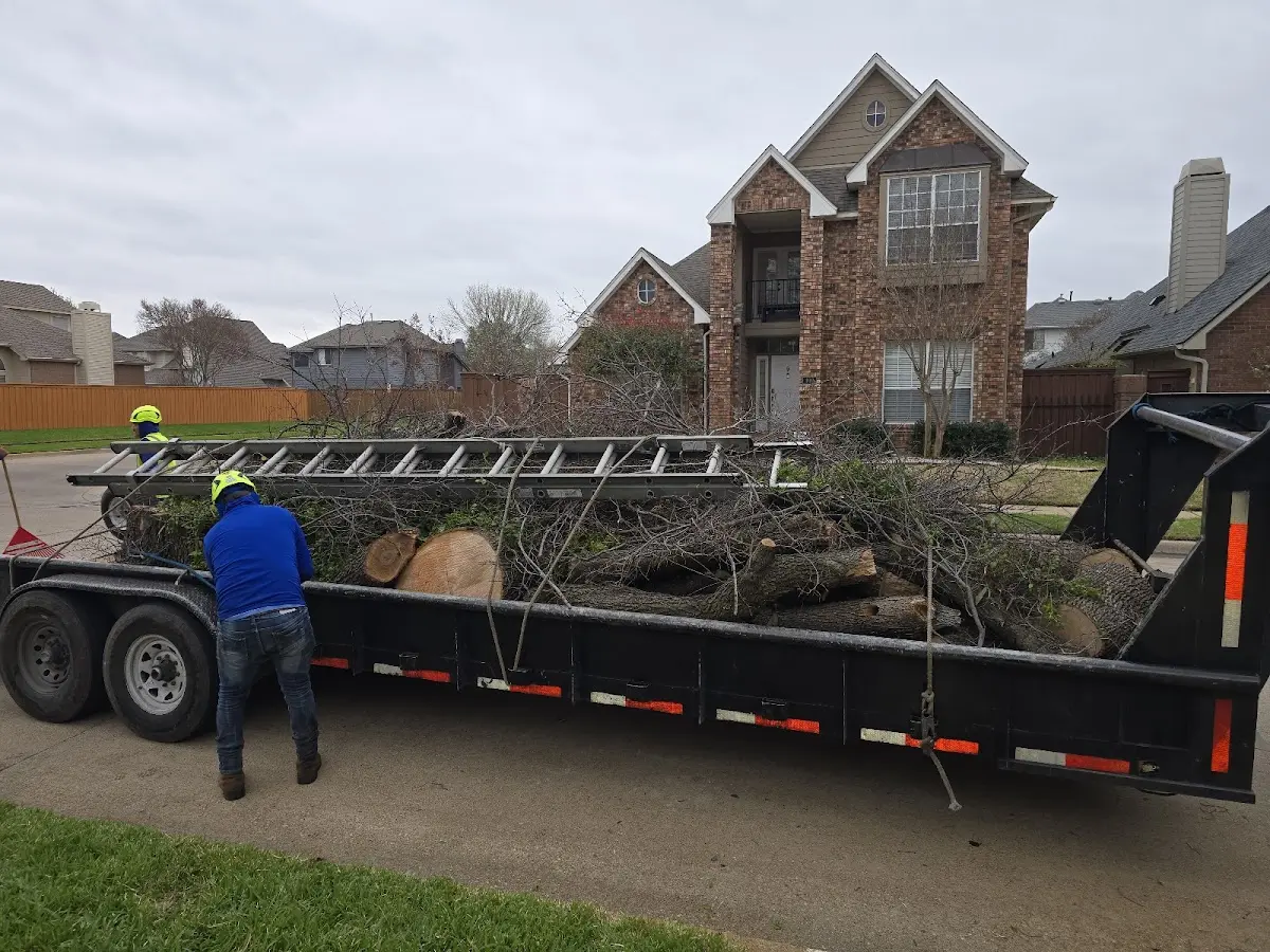 Expert Tree Pest Control with proper safety equipment in Conesville